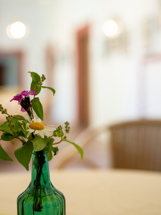 Unsere Angebote
in Triefenstein