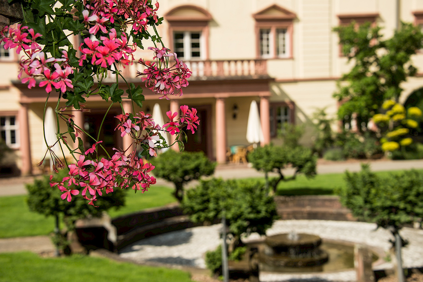 Die Festwoche vom 9. bis 12. Juli 2026